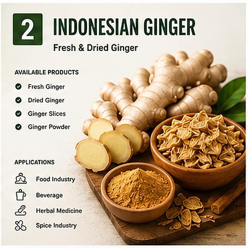 Indonesian fresh and dried ginger for export