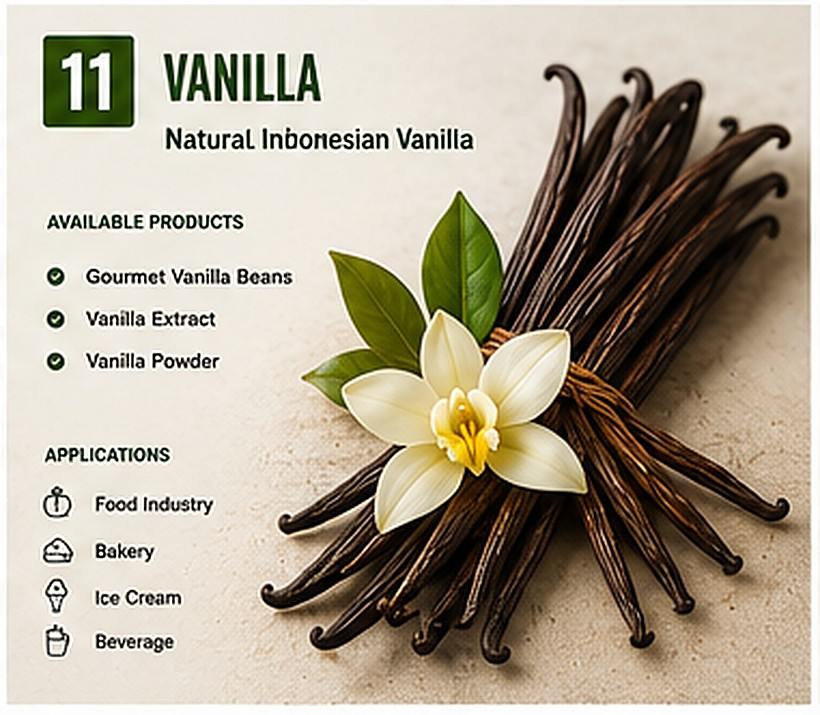Indonesian gourmet grade vanilla beans for export